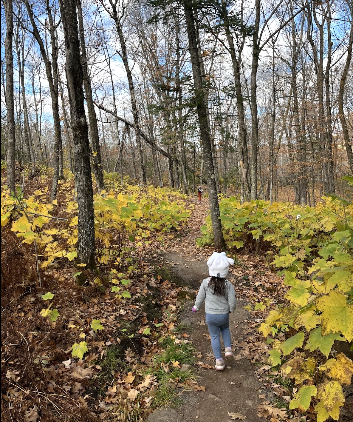 Child hiking on a forest trail