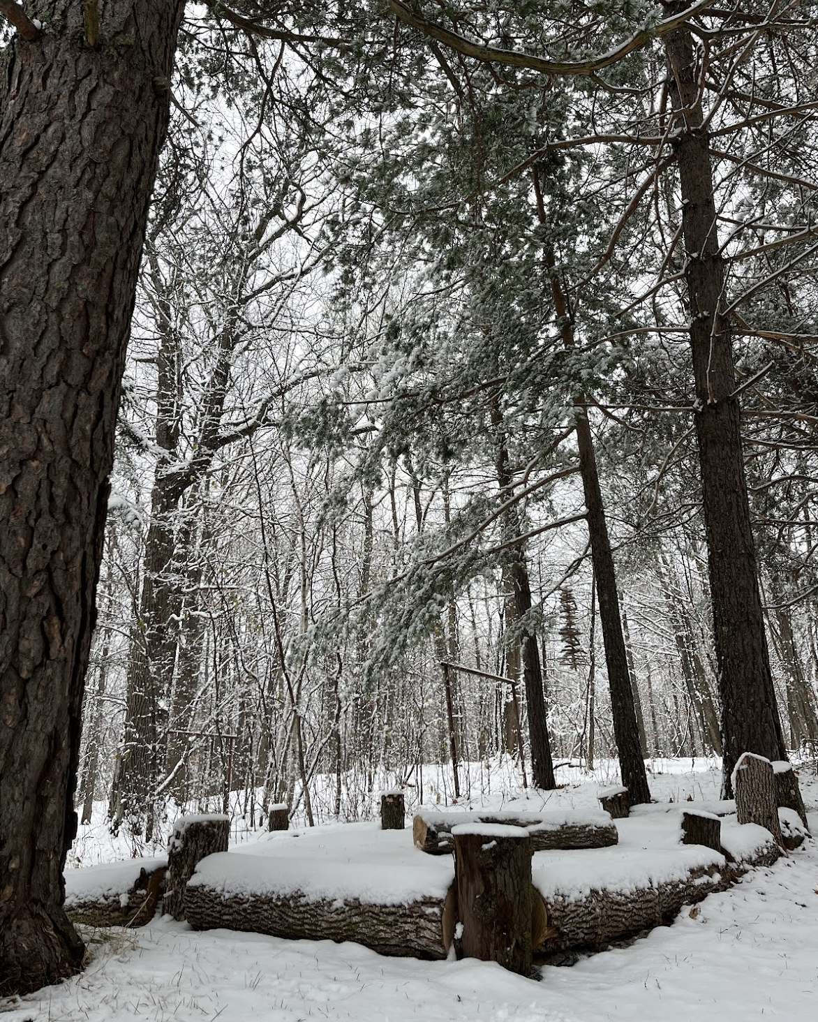 Sandbox in winter