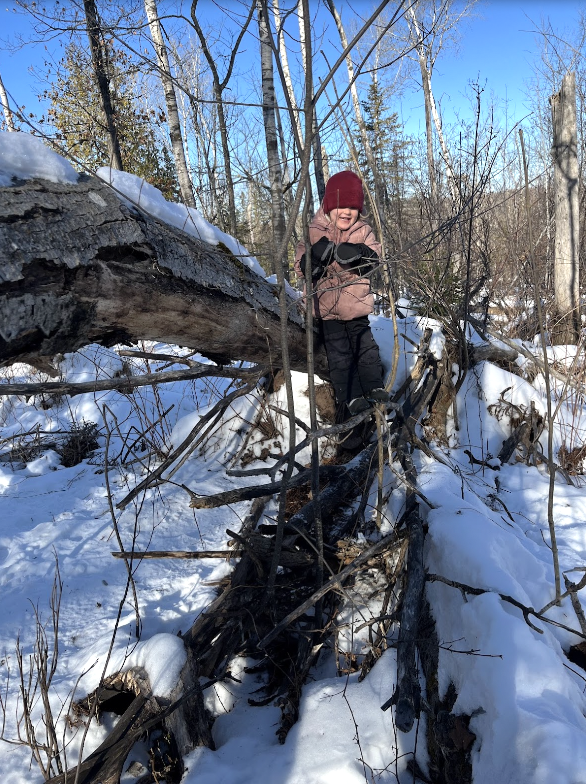 Child climbing a tree in winter